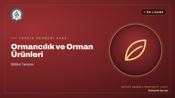 Ormancılık ve Orman Ürünleri önlisans programı tanıtım kapağı