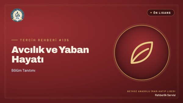 Avcılık ve Yaban Hayatı önlisans programı tanıtım kapağı