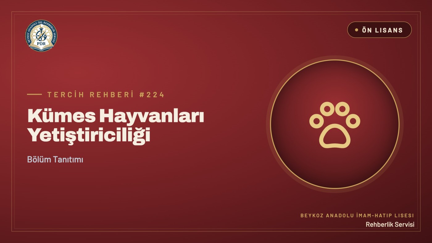 Kümes Hayvanları Yetiştiriciliği önlisans programı tanıtım kapağı