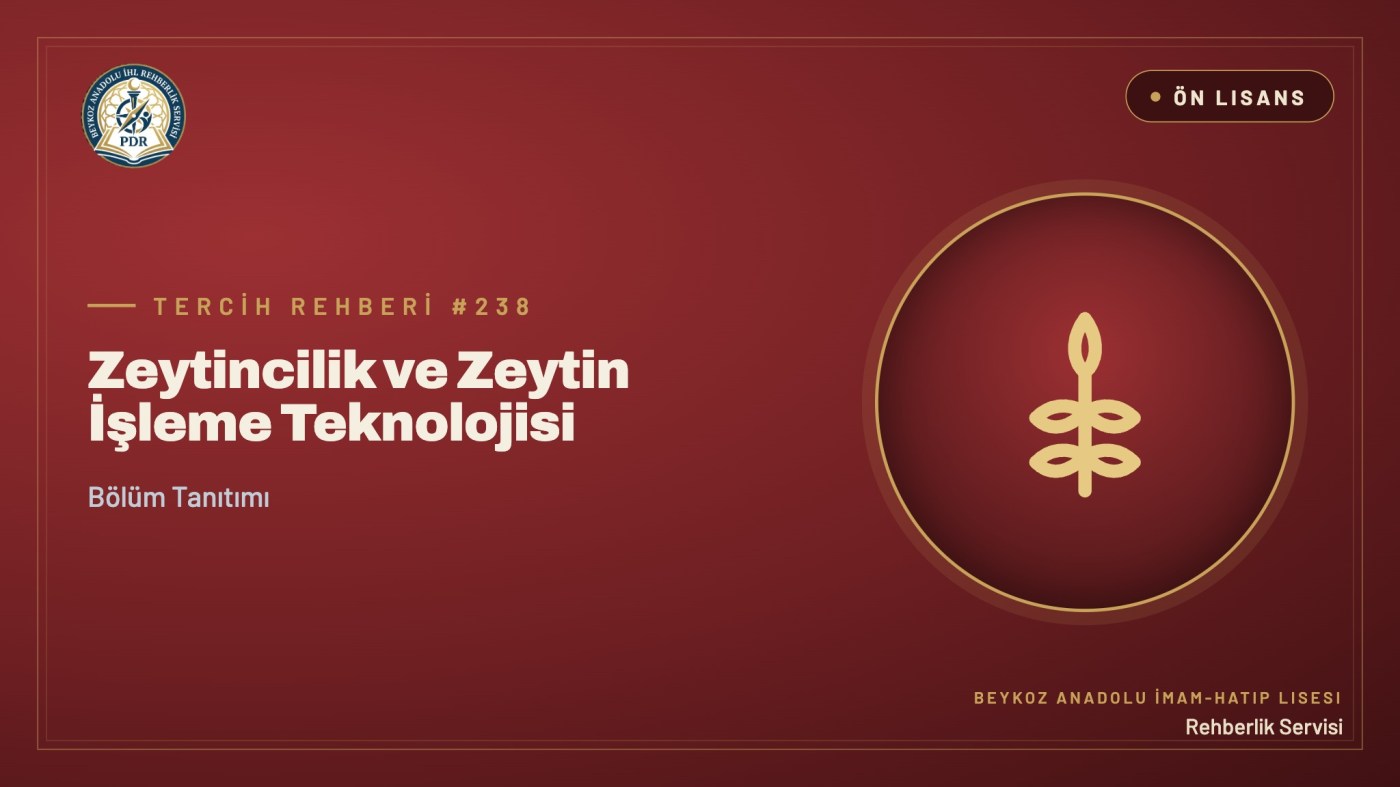 Zeytincilik ve Zeytin İşleme Teknolojisi önlisans programı tanıtım kapağı