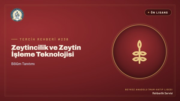 Zeytincilik ve Zeytin İşleme Teknolojisi önlisans programı tanıtım kapağı